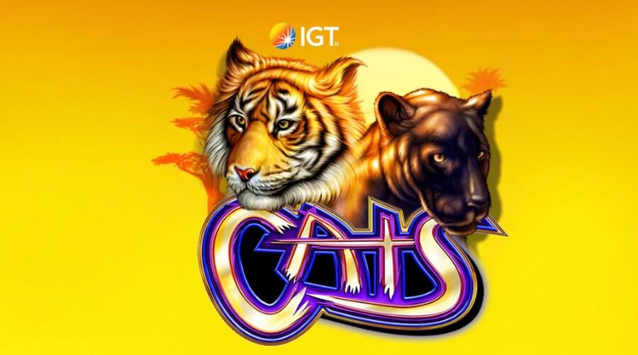 Jugar Cats slot - IGT Argentina